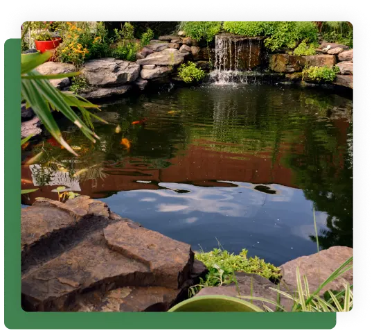 Custom Pond Build Services Newbury